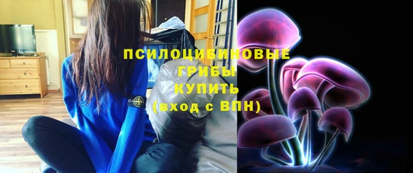 PSILOCYBIN Алексин