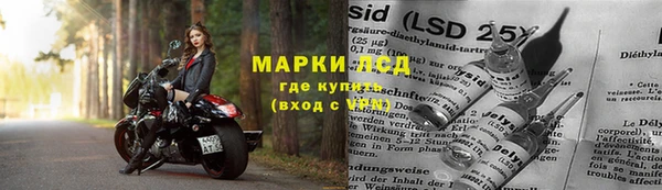 хмурый Алзамай
