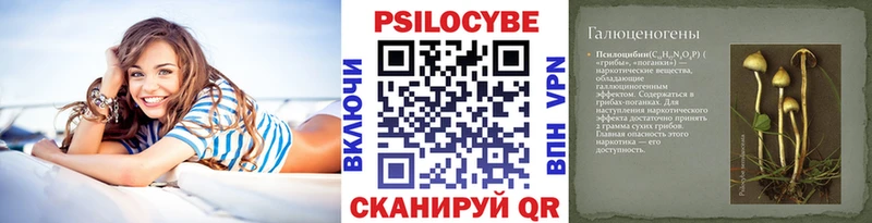даркнет сайт  Брянск  Псилоцибиновые грибы мицелий 