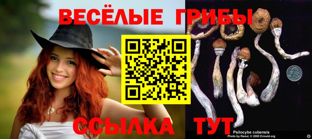 Псилоцибиновые грибы мицелий Брянск
